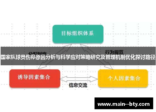 国家队球员伤停原因分析与科学应对策略研究及管理机制优化探讨路径